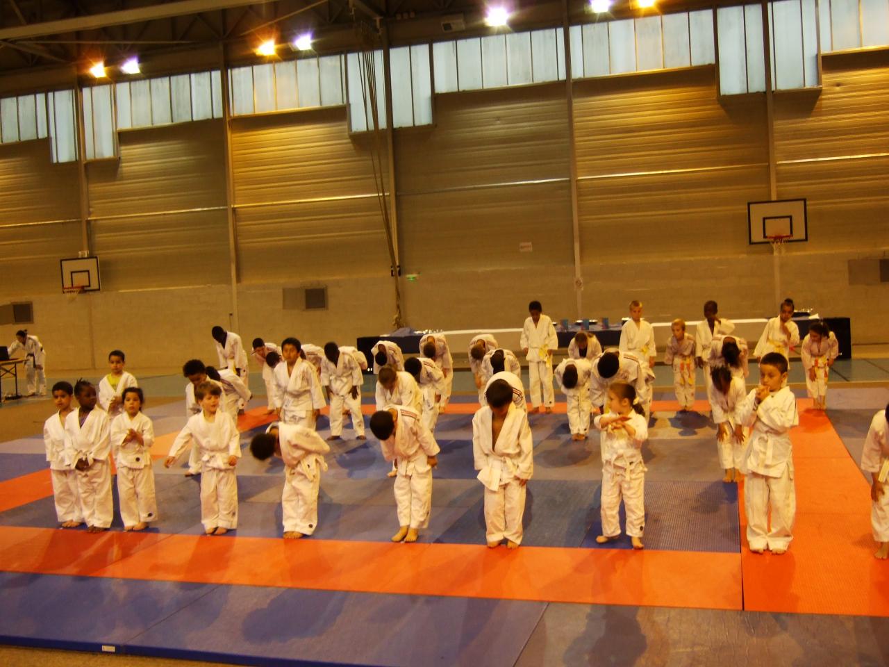 Gala judo (17)