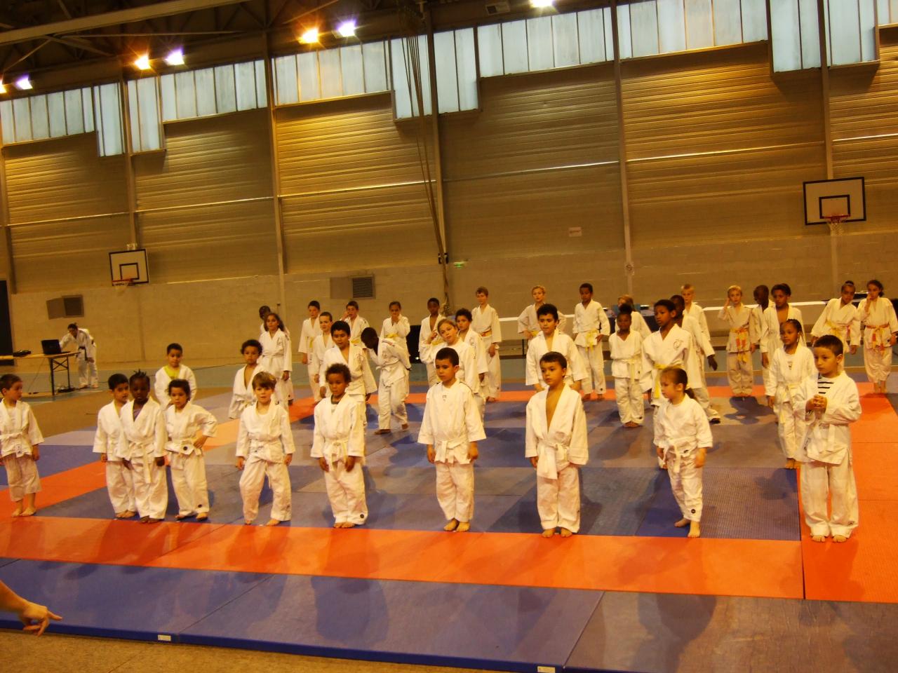 Gala judo (18)