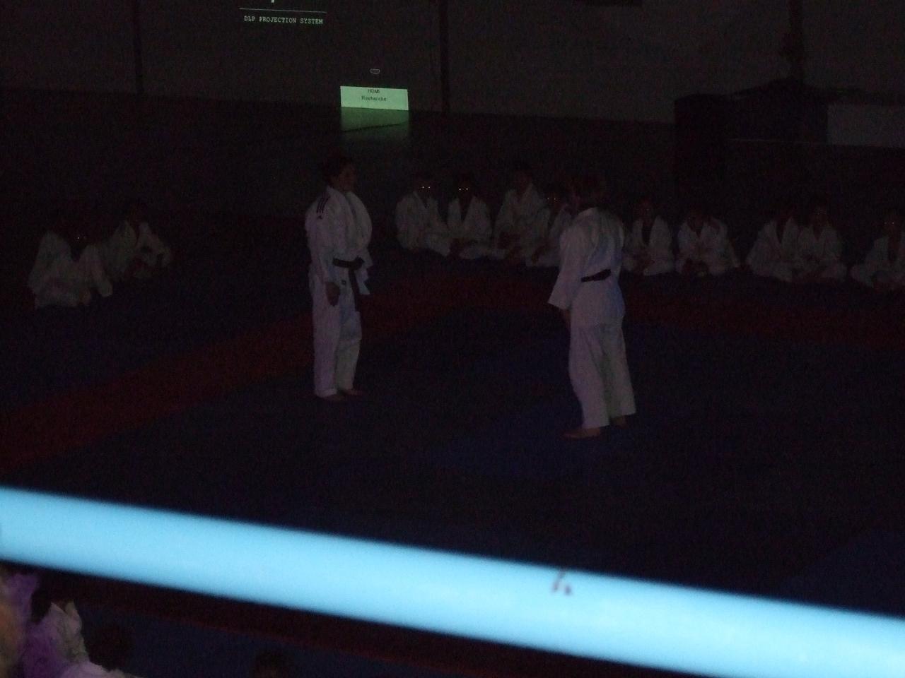 Gala judo (19)