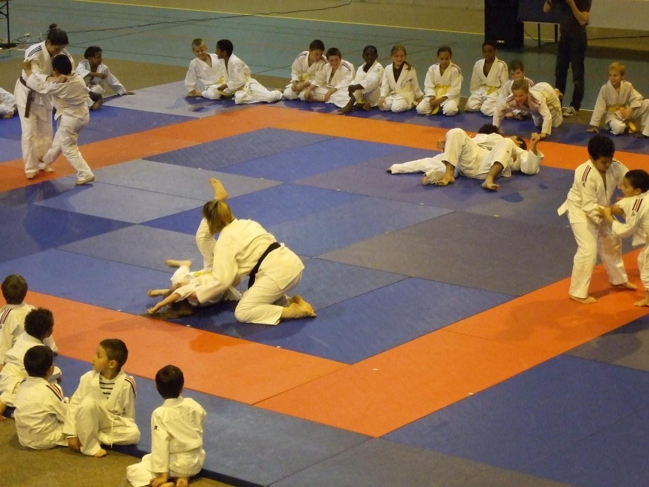Gala judo (23)