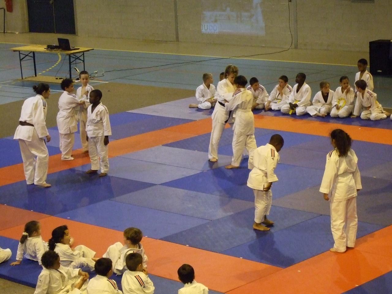 Gala judo (24)