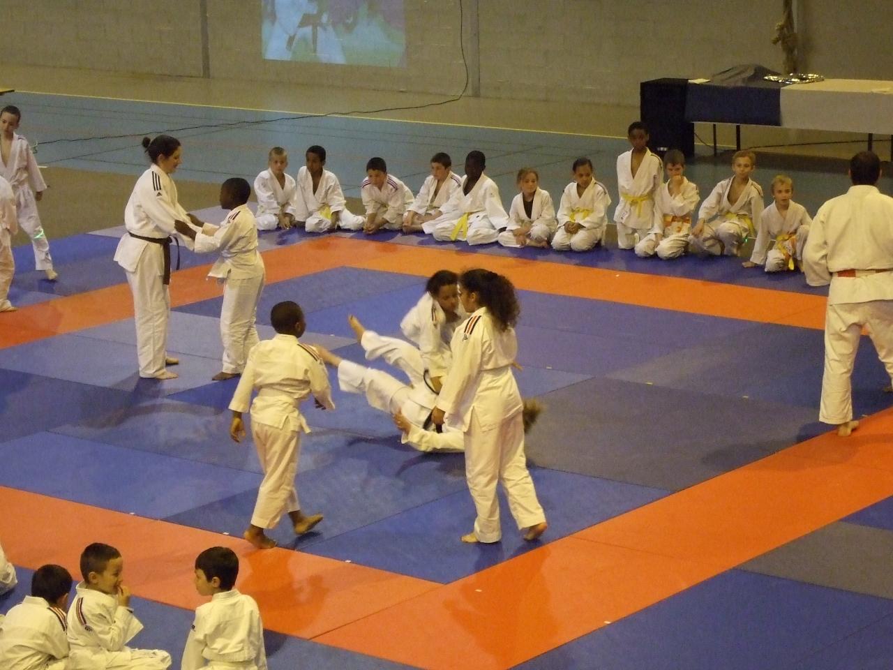 Gala judo (25)