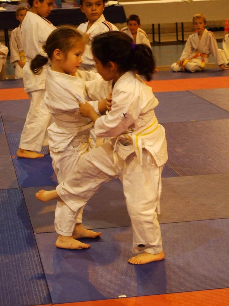 Gala judo (7)
