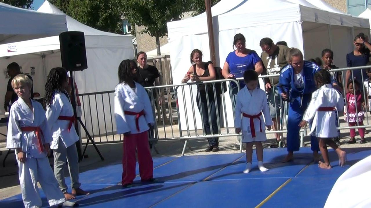 Initiation judo