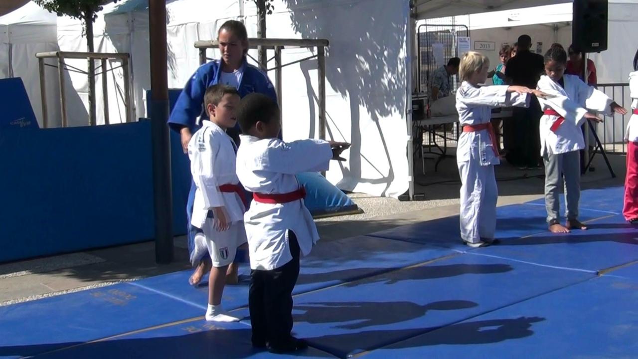 Initiation judo