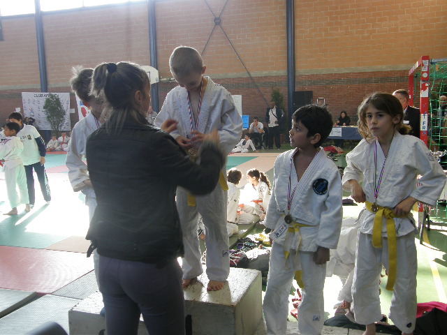Kelvin (1)
