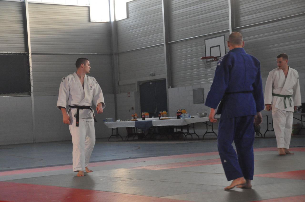LES ADULTES (17)
