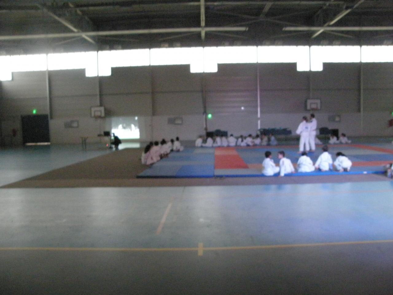 P5055854
