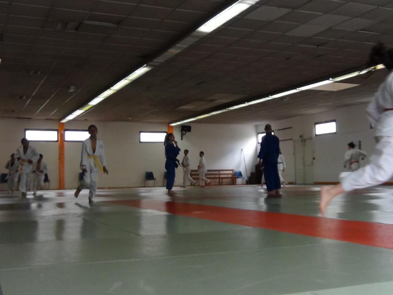 STAGE JUDO Mai 2013 (10)