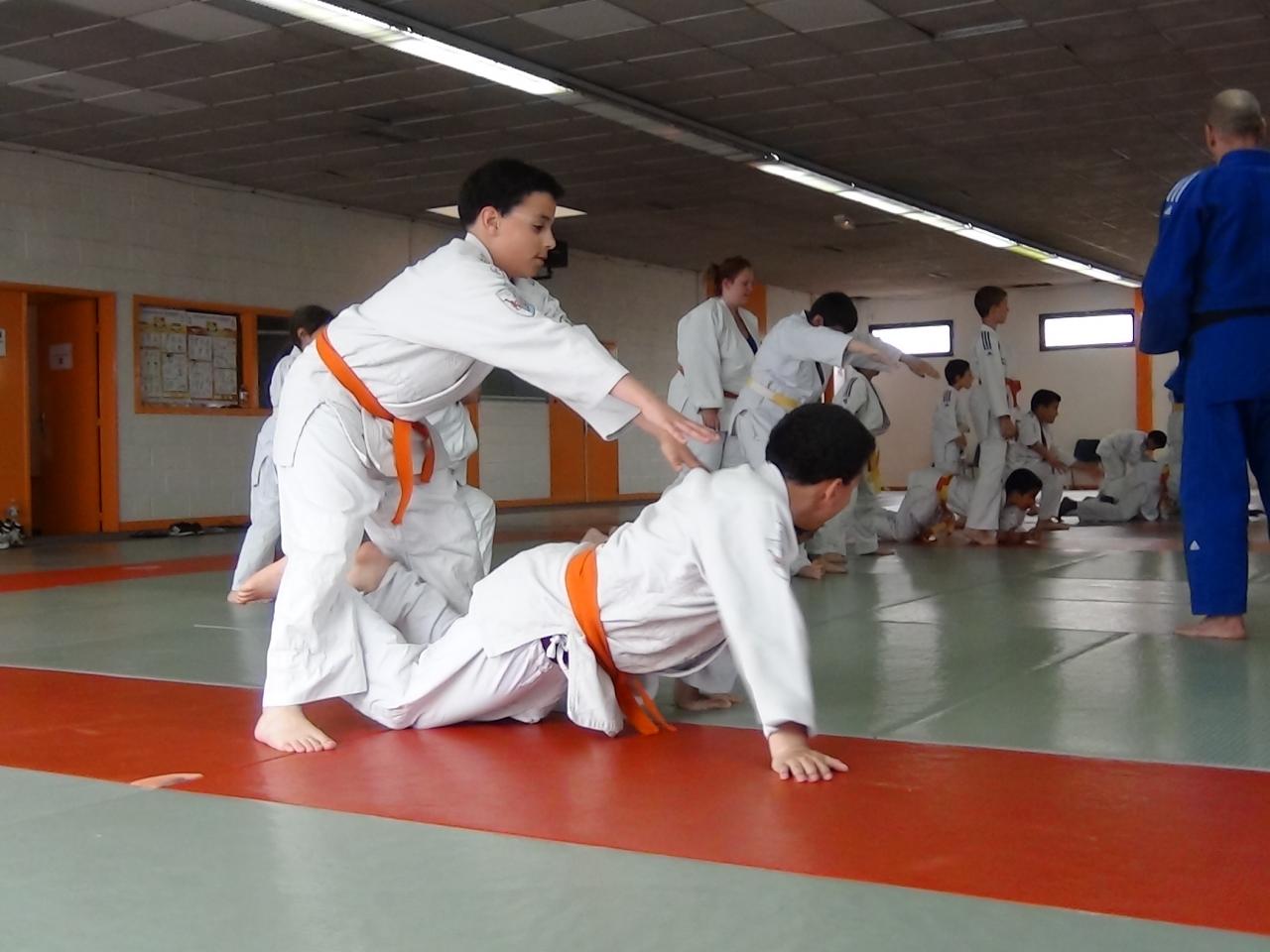 STAGE JUDO Mai 2013 (15)