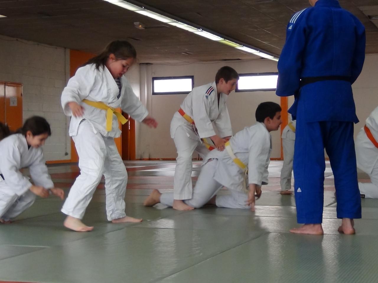 STAGE JUDO Mai 2013 (17)