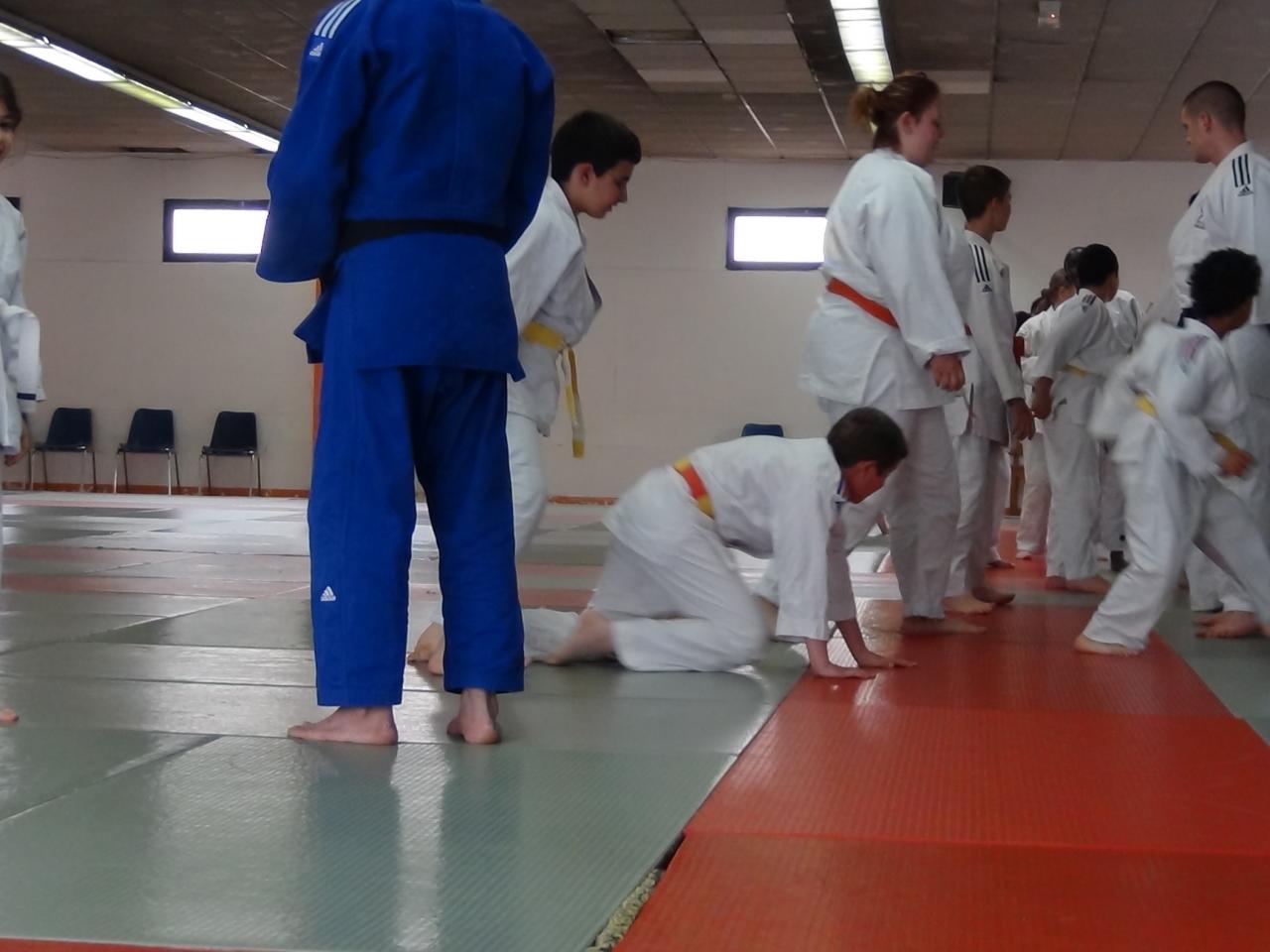 STAGE JUDO Mai 2013 (18)