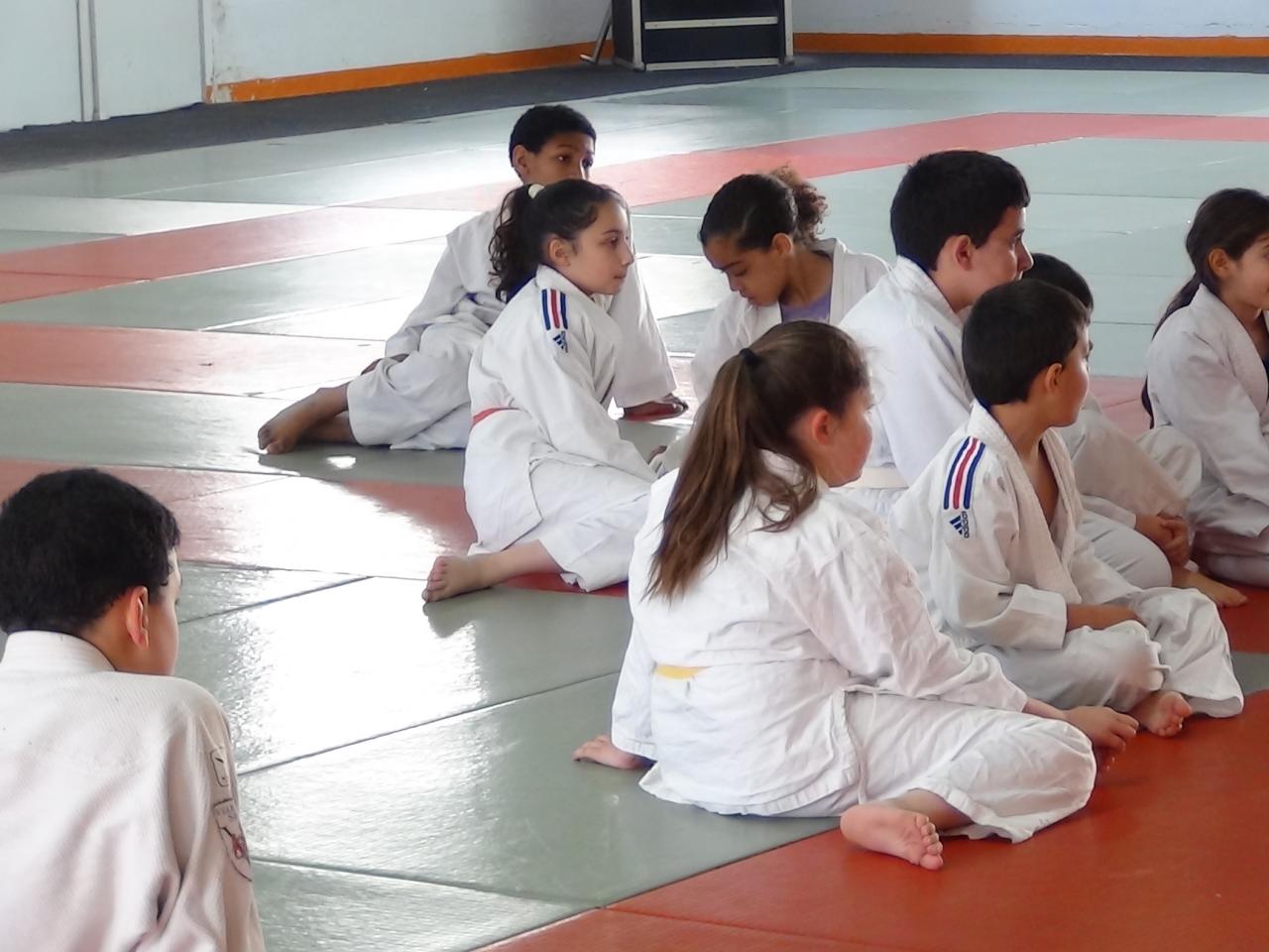 STAGE JUDO Mai 2013 (2)