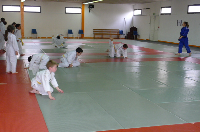 STAGE JUDO Mai 2013 (250)