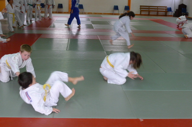 STAGE JUDO Mai 2013 (251)