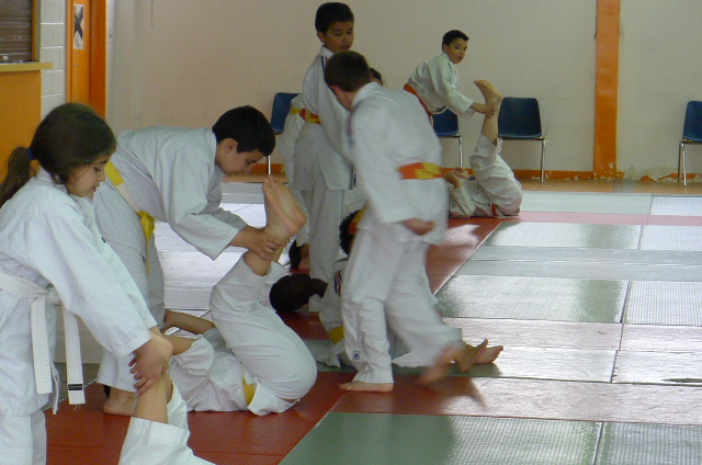 STAGE JUDO Mai 2013 (253)