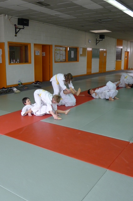 STAGE JUDO Mai 2013 (254)