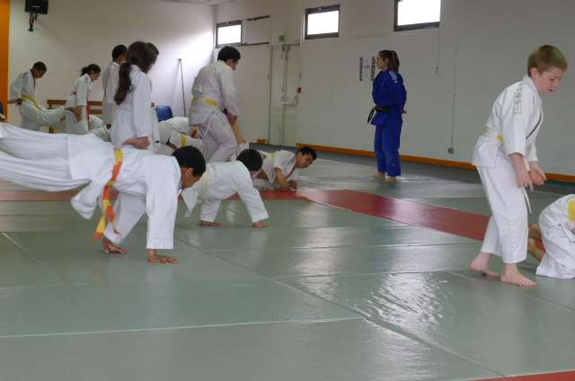STAGE JUDO Mai 2013 (258)