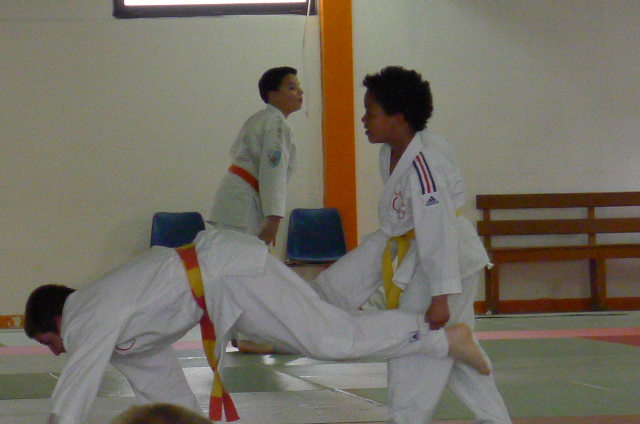 STAGE JUDO Mai 2013 (264)
