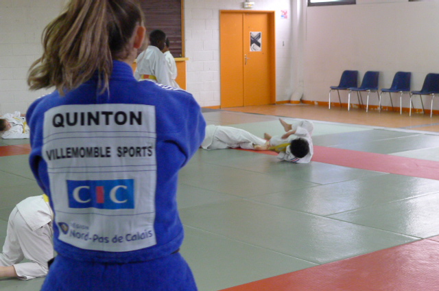 STAGE JUDO Mai 2013 (267)