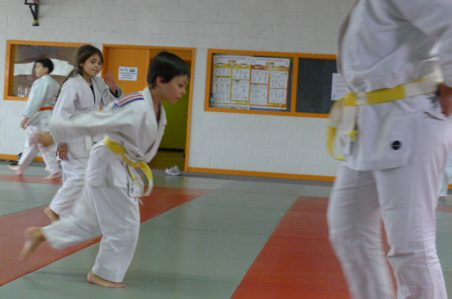 STAGE JUDO Mai 2013 (269)