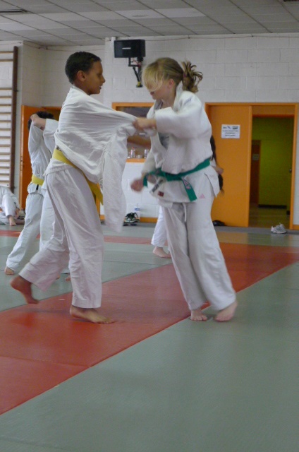 STAGE JUDO Mai 2013 (270)