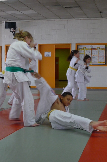 STAGE JUDO Mai 2013 (271)