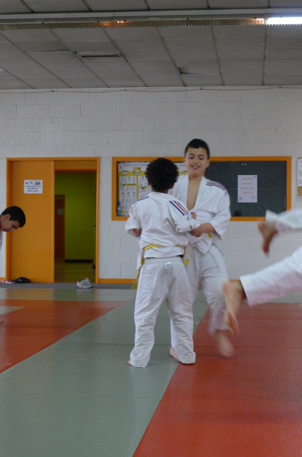 STAGE JUDO Mai 2013 (273)