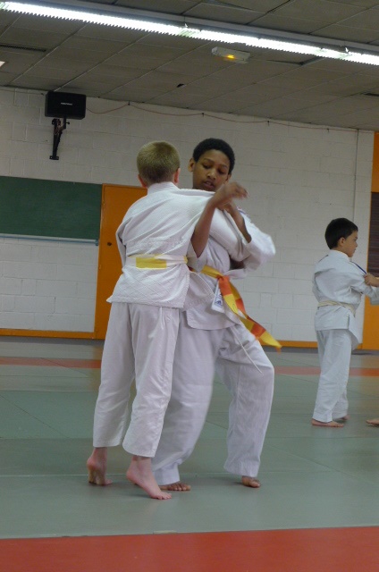 STAGE JUDO Mai 2013 (277)
