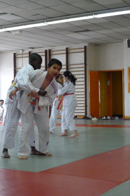 STAGE JUDO Mai 2013 (279)