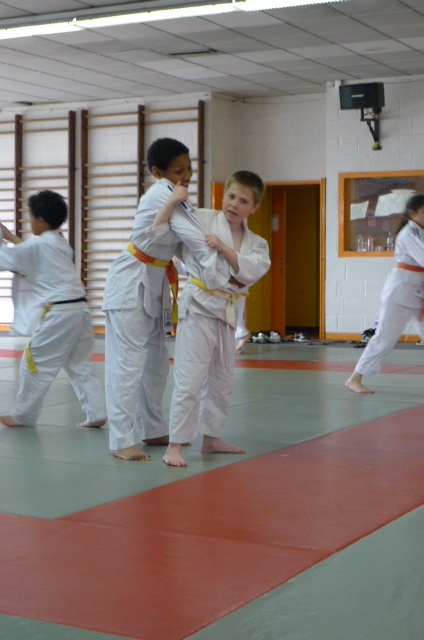 STAGE JUDO Mai 2013 (284)