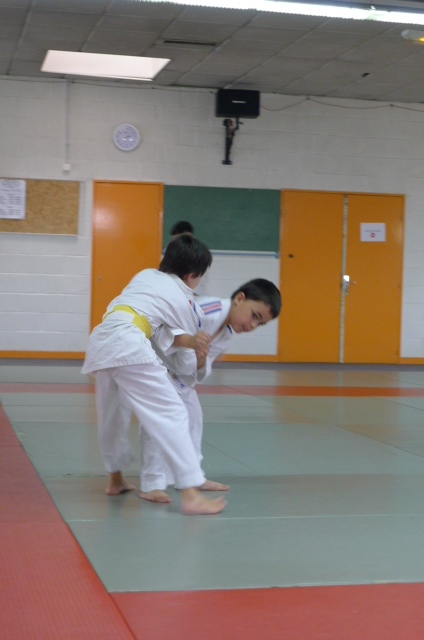 STAGE JUDO Mai 2013 (285)