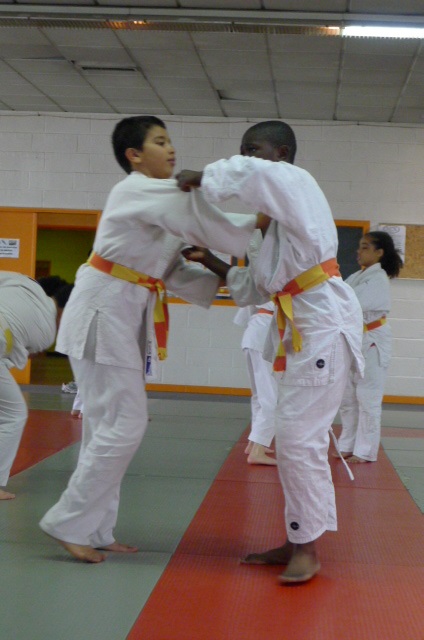 STAGE JUDO Mai 2013 (286)