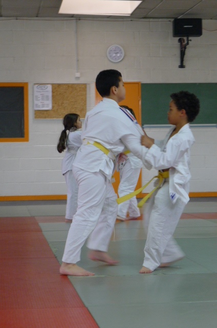 STAGE JUDO Mai 2013 (289)