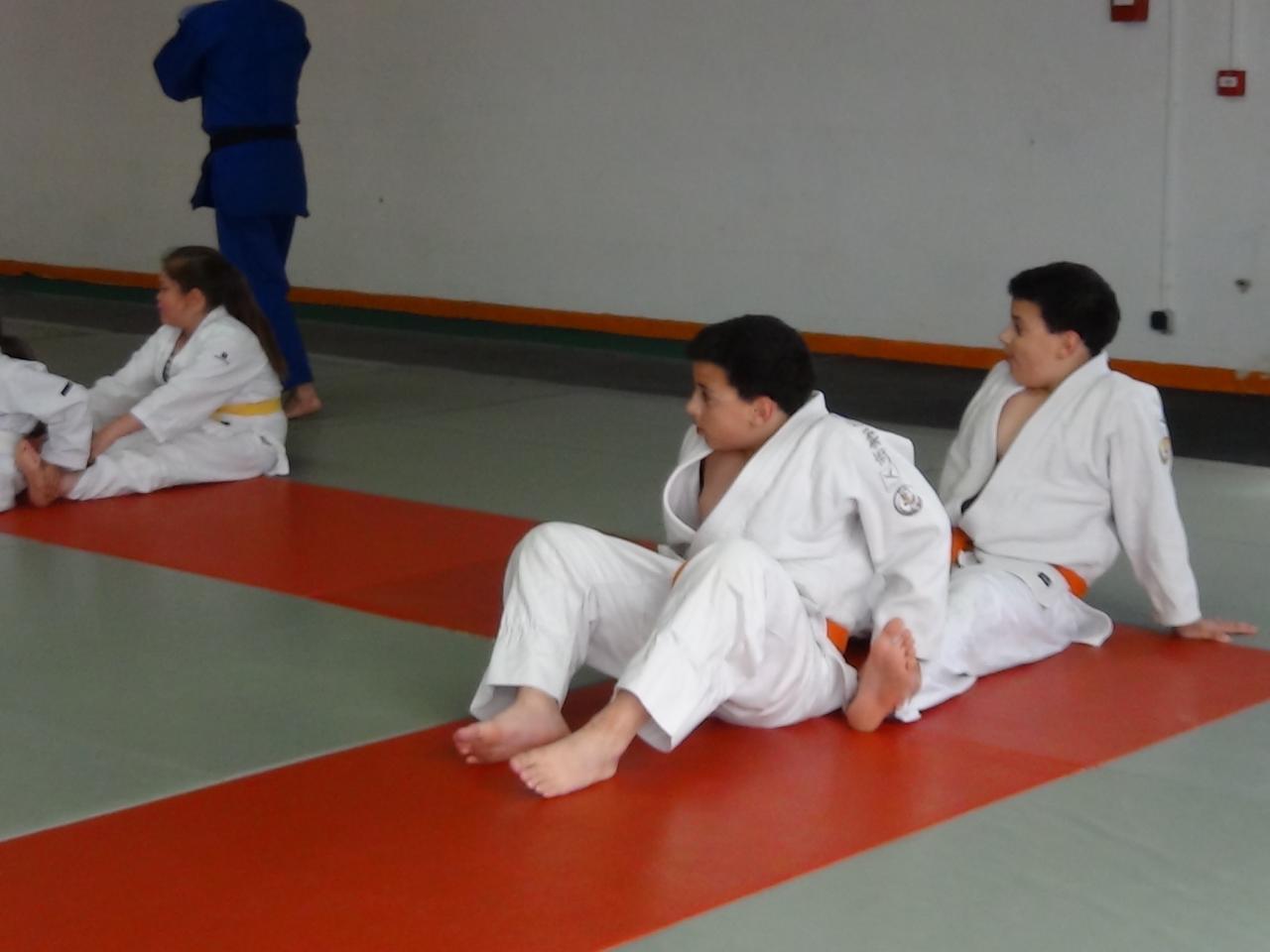 STAGE JUDO Mai 2013 (29)