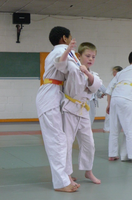 STAGE JUDO Mai 2013 (290)