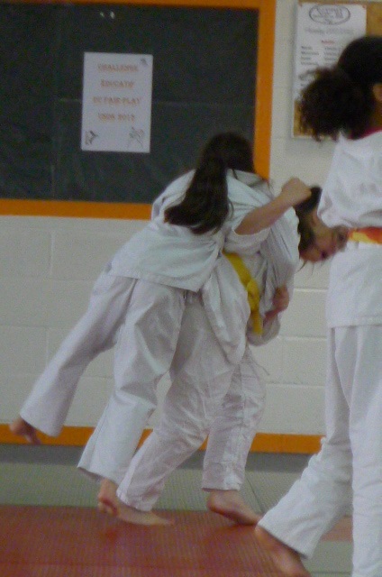 STAGE JUDO Mai 2013 (295)