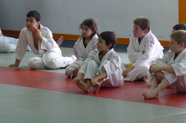 STAGE JUDO Mai 2013 (309)