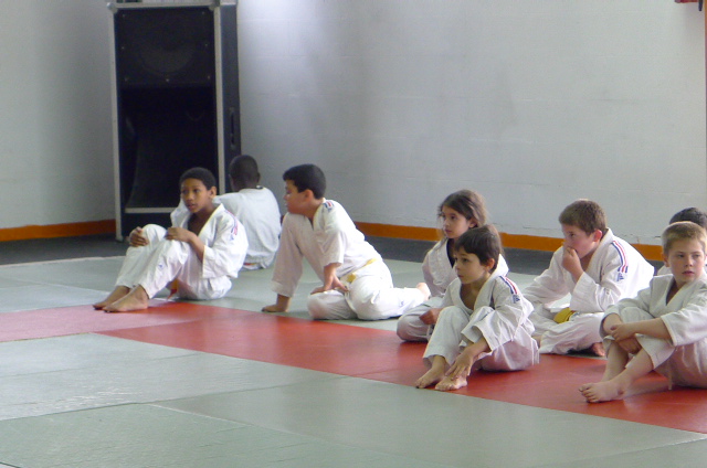 STAGE JUDO Mai 2013 (311)