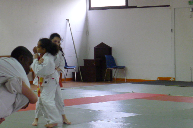STAGE JUDO Mai 2013 (315)