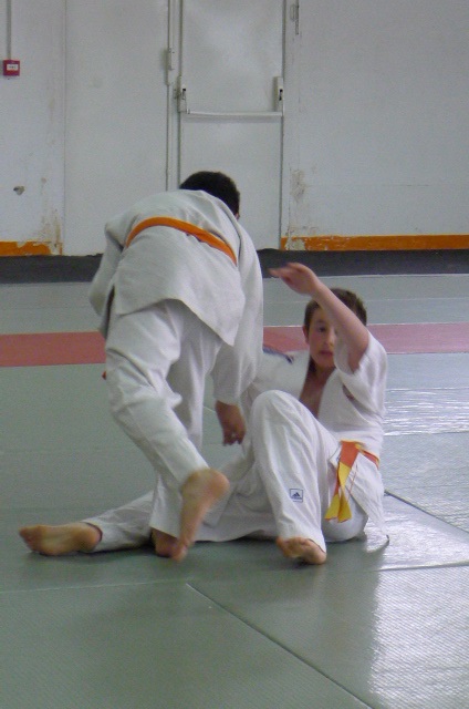 STAGE JUDO Mai 2013 (318)
