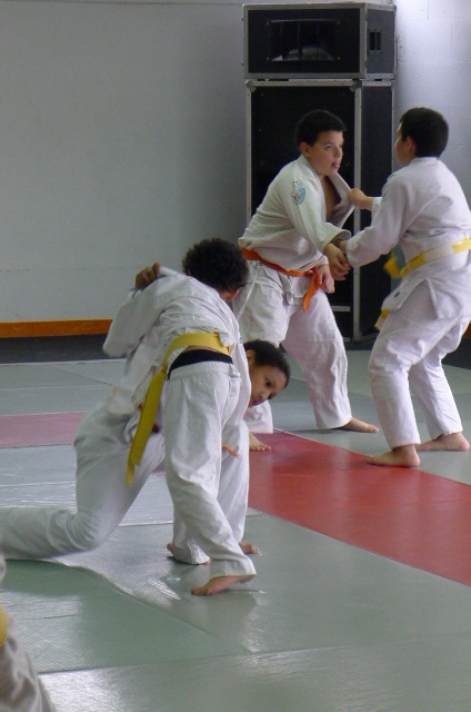 STAGE JUDO Mai 2013 (319)