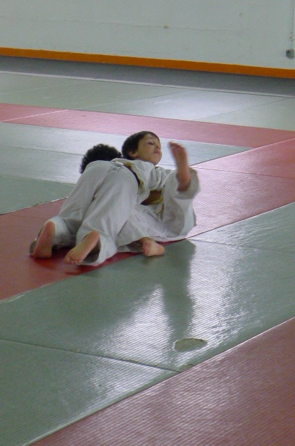 STAGE JUDO Mai 2013 (320)