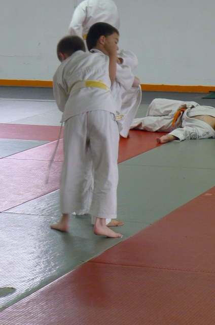 STAGE JUDO Mai 2013 (321)