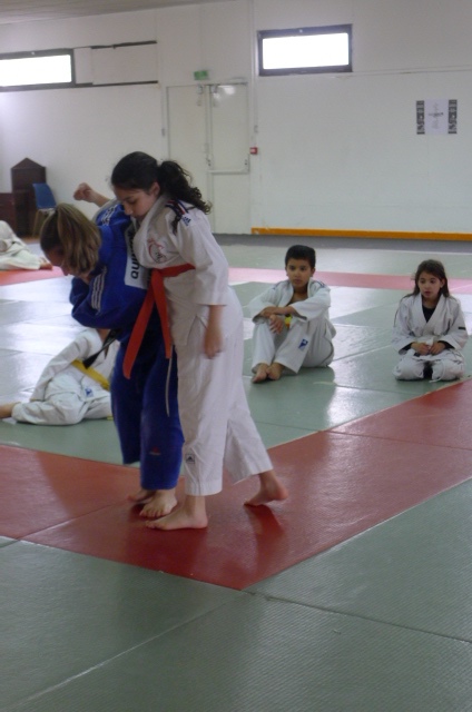 STAGE JUDO Mai 2013 (323)