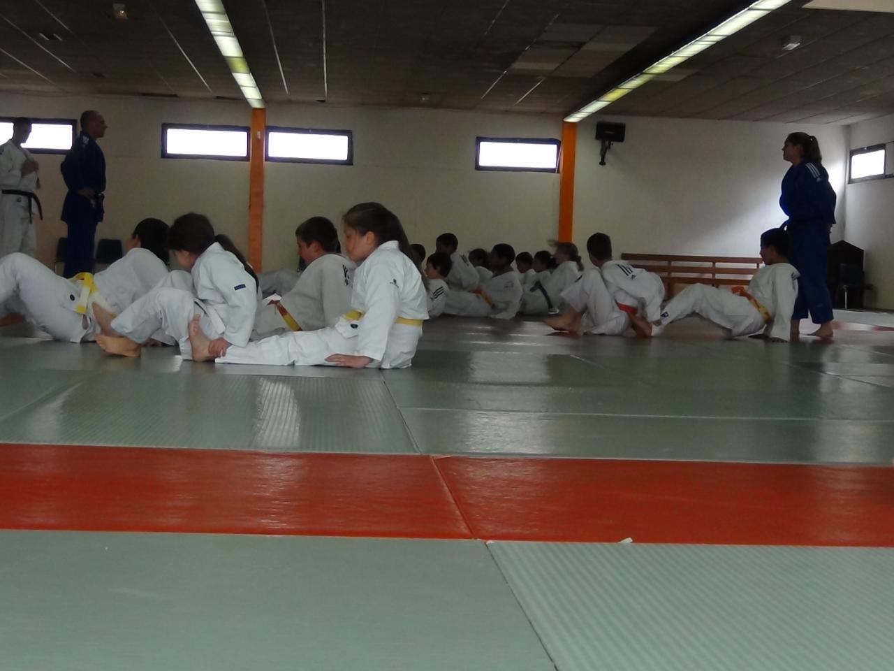 STAGE JUDO Mai 2013 (37)