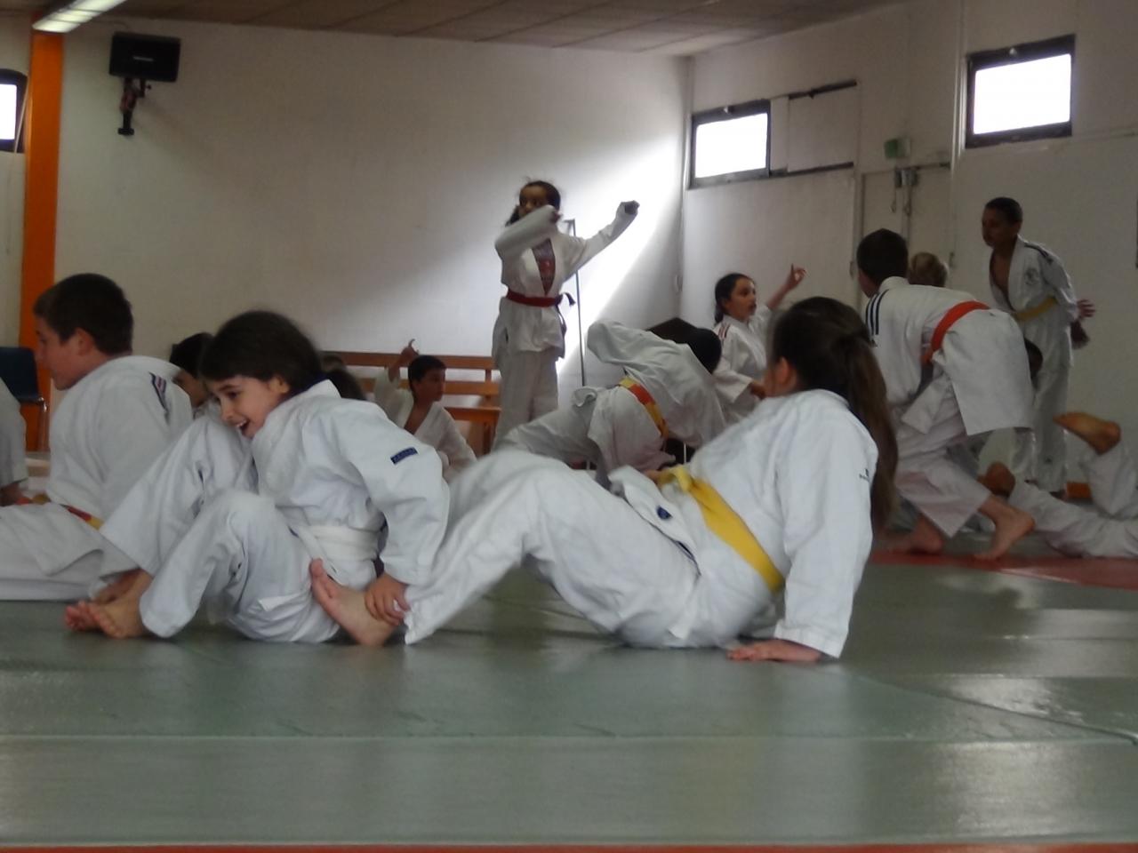 STAGE JUDO Mai 2013 (39)