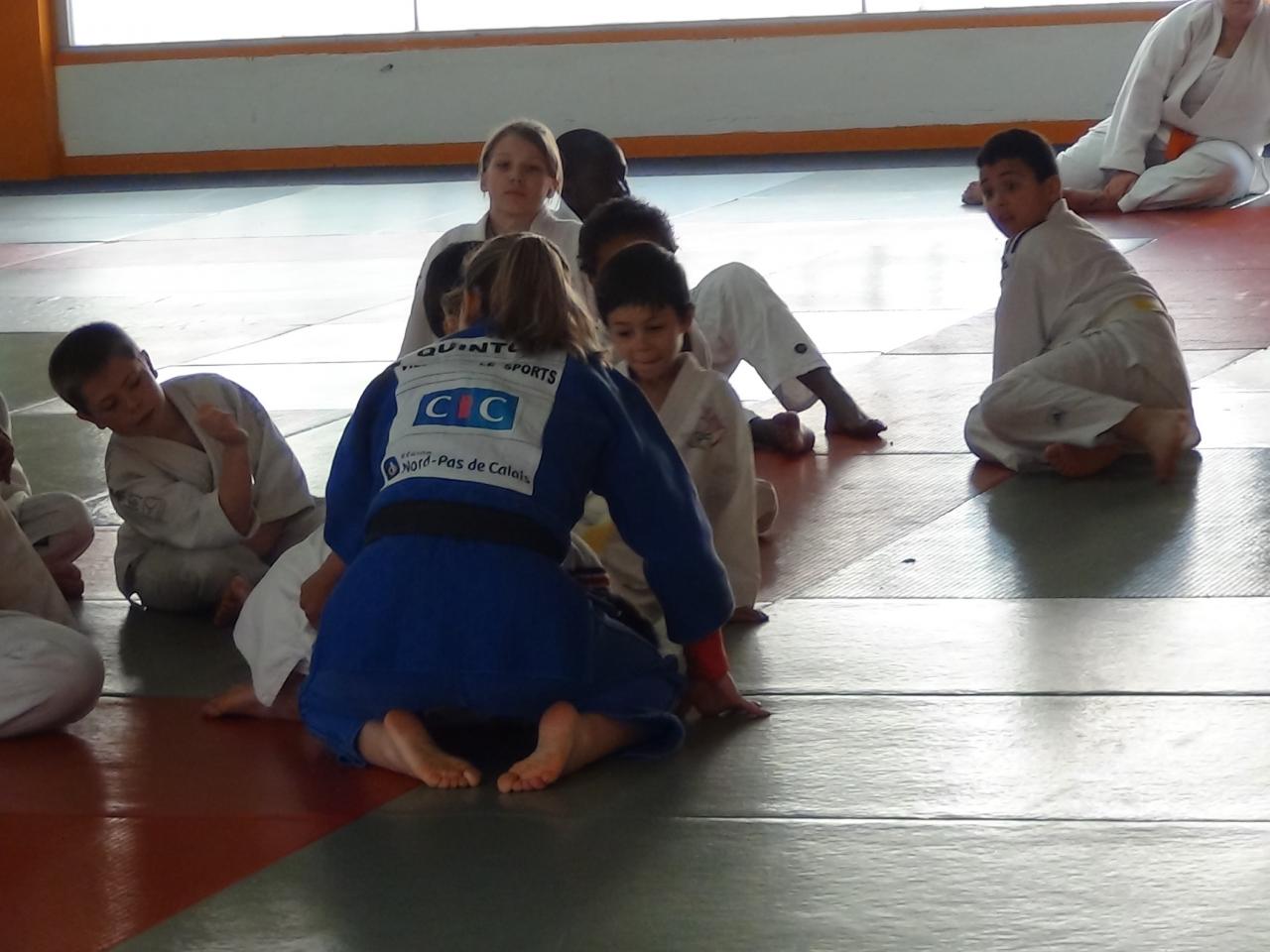 STAGE JUDO Mai 2013 (4)