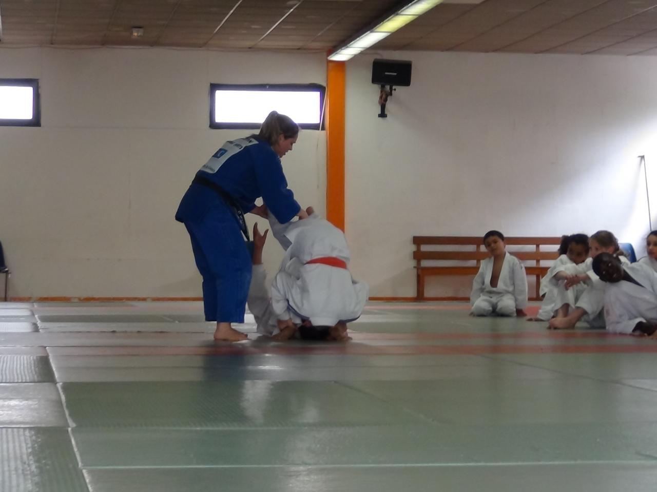 STAGE JUDO Mai 2013 (41)