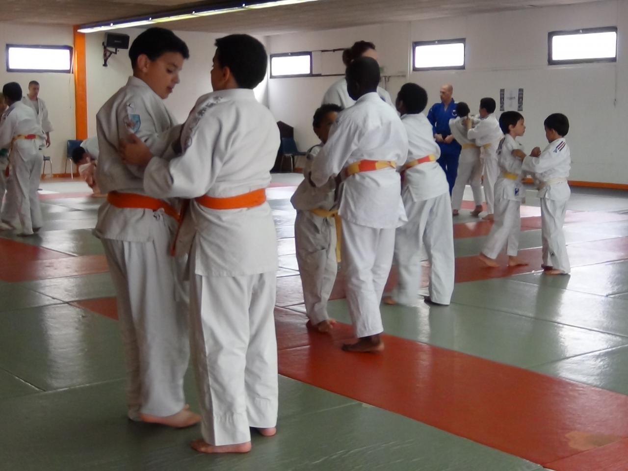 STAGE JUDO Mai 2013 (46)